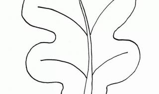 怎么做树叶画 树叶简笔画图片